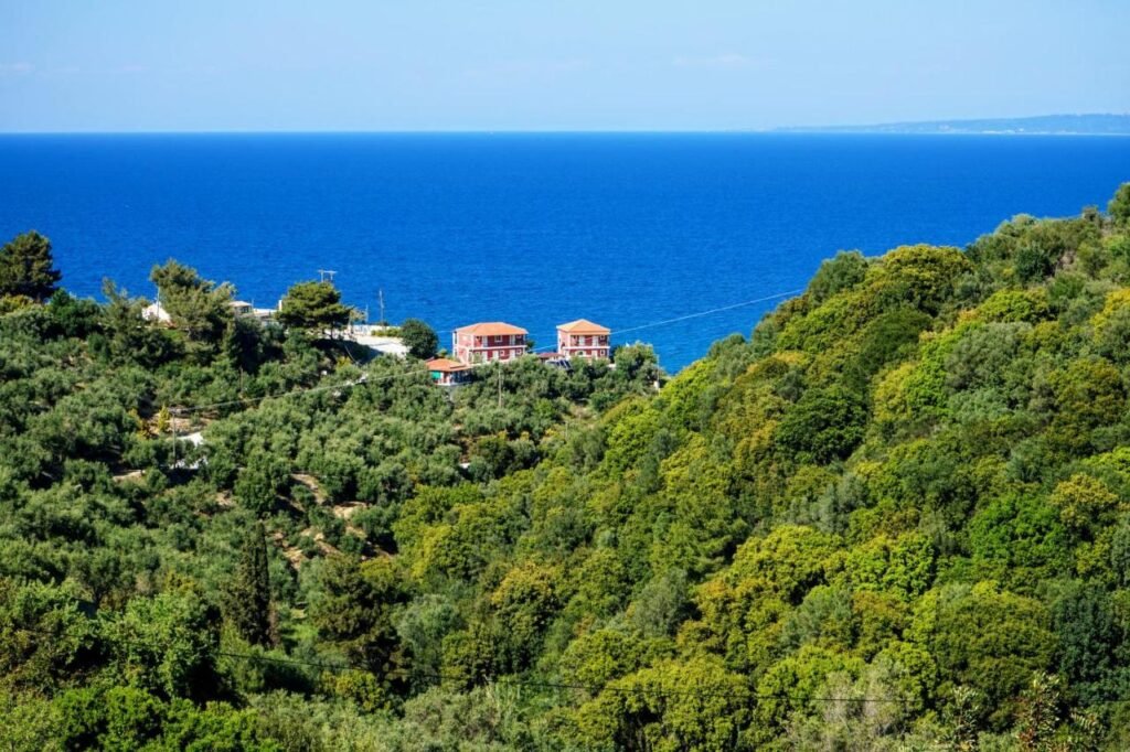 Sea view
